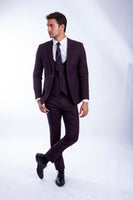 Burgundy 3 PC Birdseye Suit Skinny Fit Suits